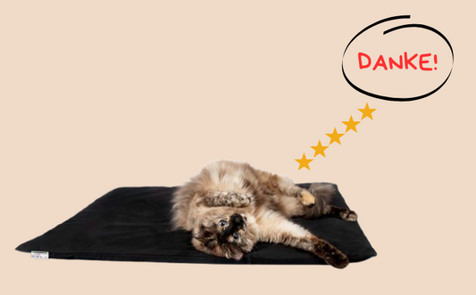 Danke für eure tollen Bewertungen!