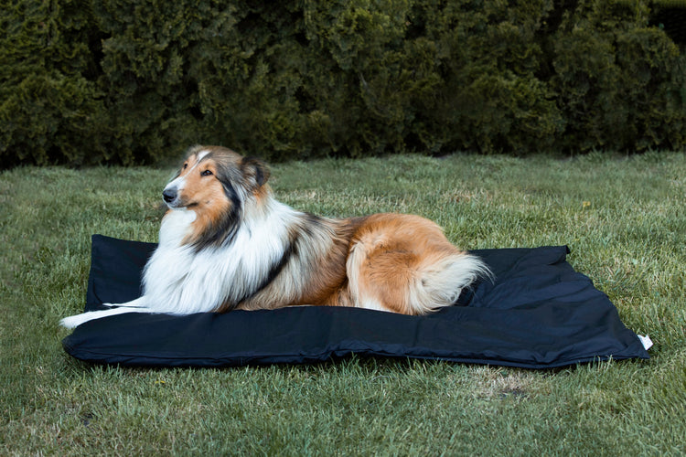 Magnetfeld - Hundematte 130 cm x 100 cm