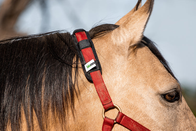 Magnetfeld-Genickschoner für Pferde