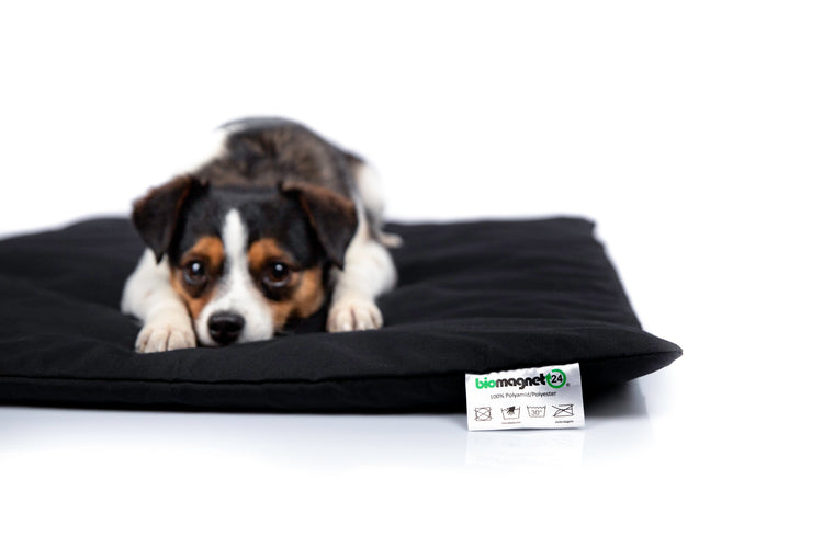 Magnetfelddecke für Hunde, Magnetfelddecke für Katzen, Arthrose beim Hund, Arthrose bei Katze, Magnetfelddecke, Magnetfeldmatte kaufen, Magnetfelddecke kaufen, statische Magnetfeldmatte, Magnetfeldmatte für Tiere, biomagnet24, Magnetfeldmatte für Pferde, Magnetfelddecke für Pferde, Magnetfeldmatte Wirkung, Magnetfeld bei Hunden