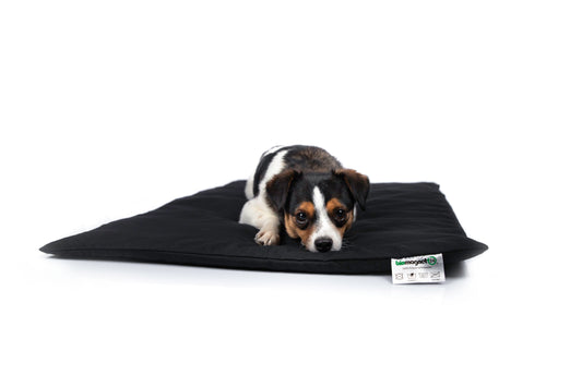 Magnetfelddecke für Hunde, Magnetfelddecke für Katzen, Arthrose beim Hund, Arthrose bei Katze, Magnetfelddecke, Magnetfeldmatte kaufen, Magnetfelddecke kaufen, statische Magnetfeldmatte, Magnetfeldmatte für Tiere, biomagnet24, Magnetfeldmatte für Pferde, Magnetfelddecke für Pferde, Magnetfeldmatte Wirkung, Magnetfeld bei Hunden