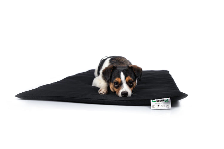 Magnetfelddecke für Hunde, Magnetfelddecke für Katzen, Arthrose beim Hund, Arthrose bei Katze, Magnetfelddecke, Magnetfeldmatte kaufen, Magnetfelddecke kaufen, statische Magnetfeldmatte, Magnetfeldmatte für Tiere, biomagnet24, Magnetfeldmatte für Pferde, Magnetfelddecke für Pferde, Magnetfeldmatte Wirkung, Magnetfeld bei Hunden
