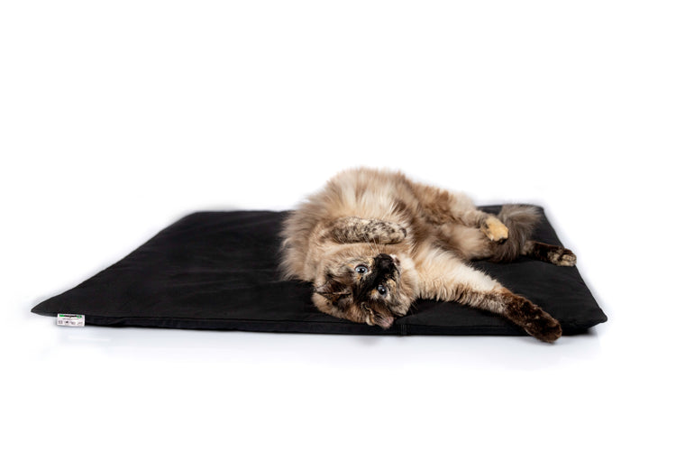 Magnetfelddecke für Hunde, Magnetfelddecke für Katzen, Arthrose beim Hund, Arthrose bei Katze, Magnetfelddecke, Magnetfeldmatte kaufen, Magnetfelddecke kaufen, statische Magnetfeldmatte, Magnetfeldmatte für Tiere, biomagnet24, Magnetfeldmatte für Pferde, Magnetfelddecke für Pferde, Magnetfeldmatte Wirkung, Magnetfeld bei Hunden