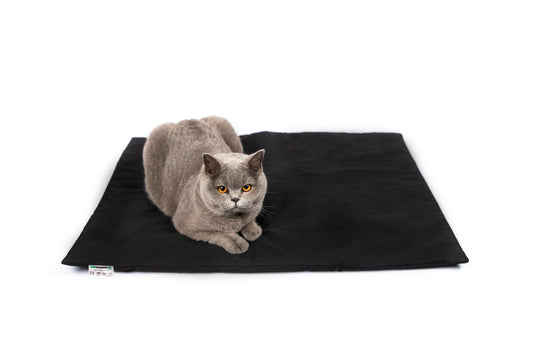 Magnetfelddecke für Hunde, Magnetfelddecke für Katzen, Arthrose beim Hund, Arthrose bei Katze, Magnetfelddecke, Magnetfeldmatte kaufen, Magnetfelddecke kaufen, statische Magnetfeldmatte, Magnetfeldmatte für Tiere, biomagnet24, Magnetfeldmatte für Pferde, Magnetfelddecke für Pferde, Magnetfeldmatte Wirkung, Magnetfeld bei Hunden