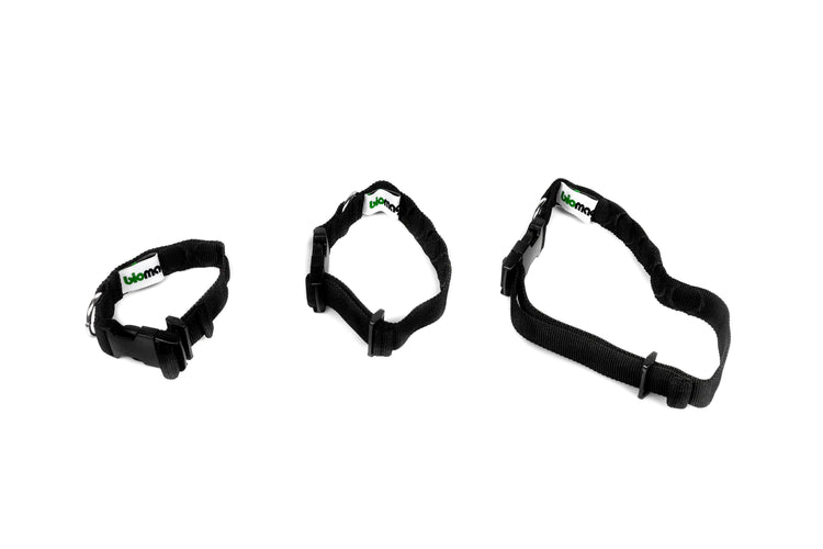 Magnethalsband für Hunde