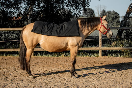 Magnetfeld-Auflegematte für Pferde