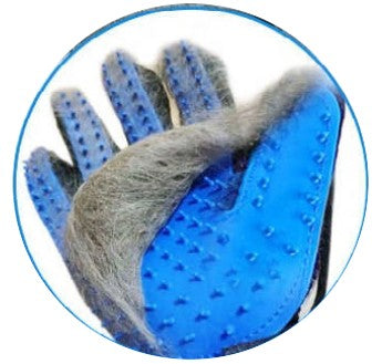 Effektive Fellspflege mit dem Massagehandschuh von Biomagnet24 magnetfelddecke pferd | pulsierendes magnetfeld pferd | magnetfeldtherapie | genickschutz pferd | pulsierende magnetfeldtherapie pferd | magnetfeld für pferde | biomagnet24