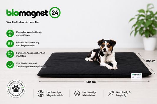Magnetfeld - Hundematte 130 cm x 100 cm